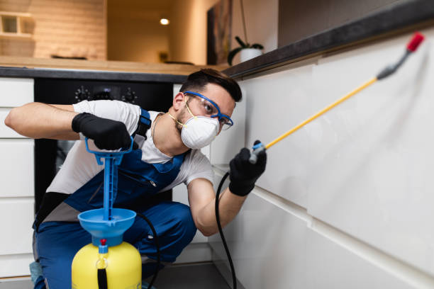 Best Termite Control Services  in Water Mill, NY