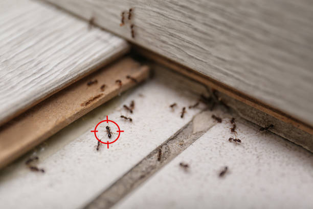 Best Commercial Pest Control Services  in Water Mill, NY