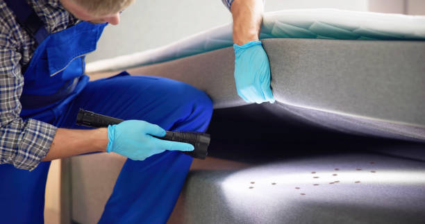Best Bed Bug Extermination  in Water Mill, NY