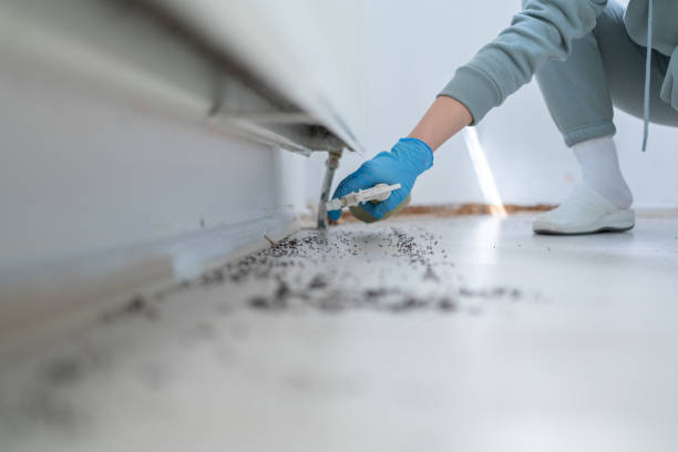 Best Wildlife Control Services  in Water Mill, NY