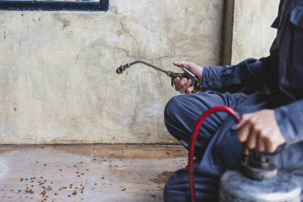 Best Affordable Pest Control Services  in Water Mill, NY